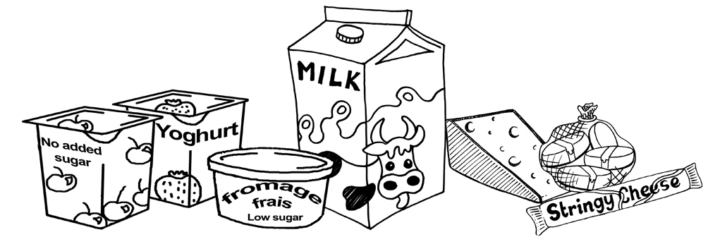 food group dairy